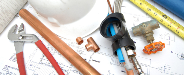 Devlin Property Logo