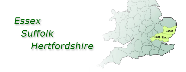 Devlin Property Logo